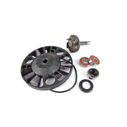 ACSUD 093609A - KIT REVISIONE POMPA ACQUA PIAGGIO 125/180/200 4T 00/05