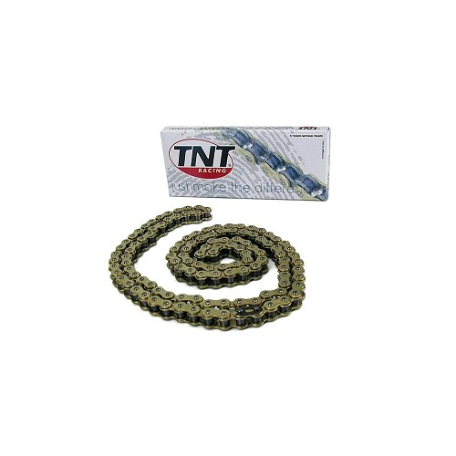 ACSUD 241009 - CATENA RINFORZATA TNT ORO 420 124 MAGLIE